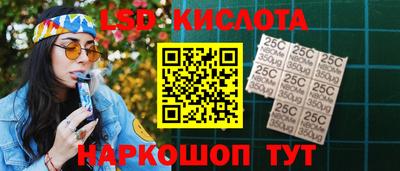 шишки Обь