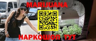 шишки Обь