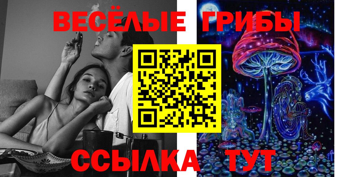 Галлюциногенные грибы мицелий  Вход с VPN  Шатура 
